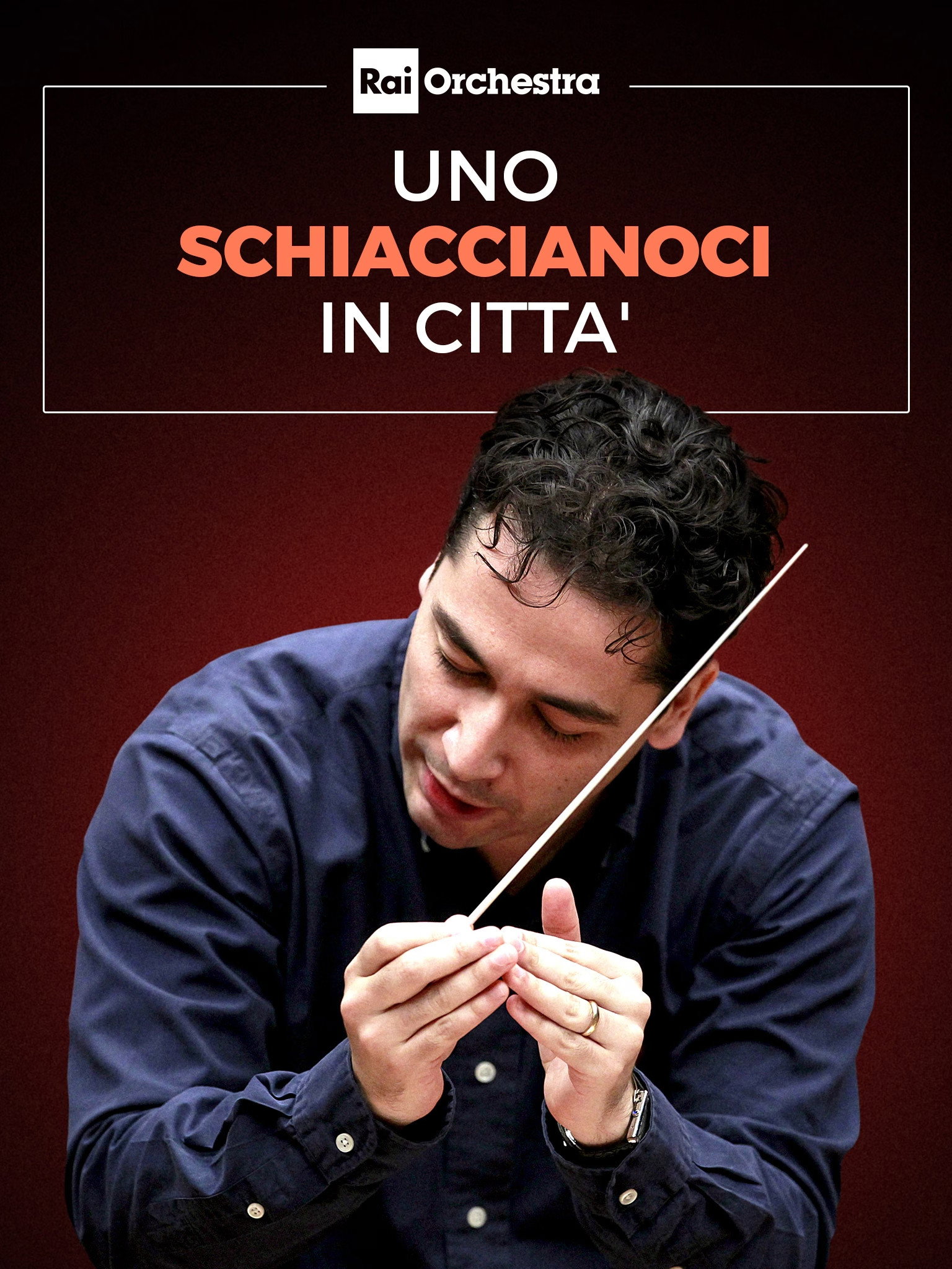 Uno schiaccianoci in città (2024) poster