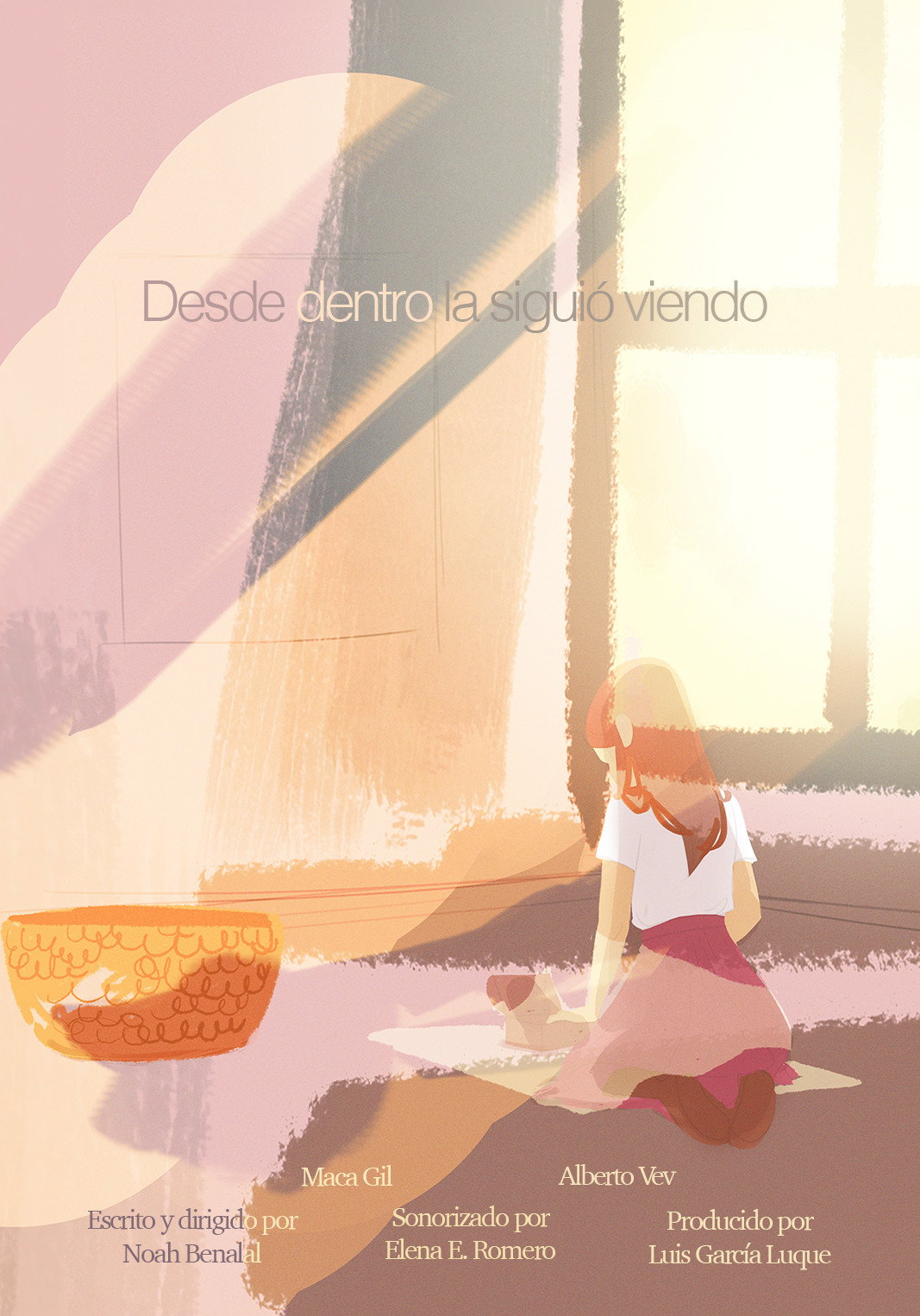 Desde dentro la siguió viendo (2019) poster