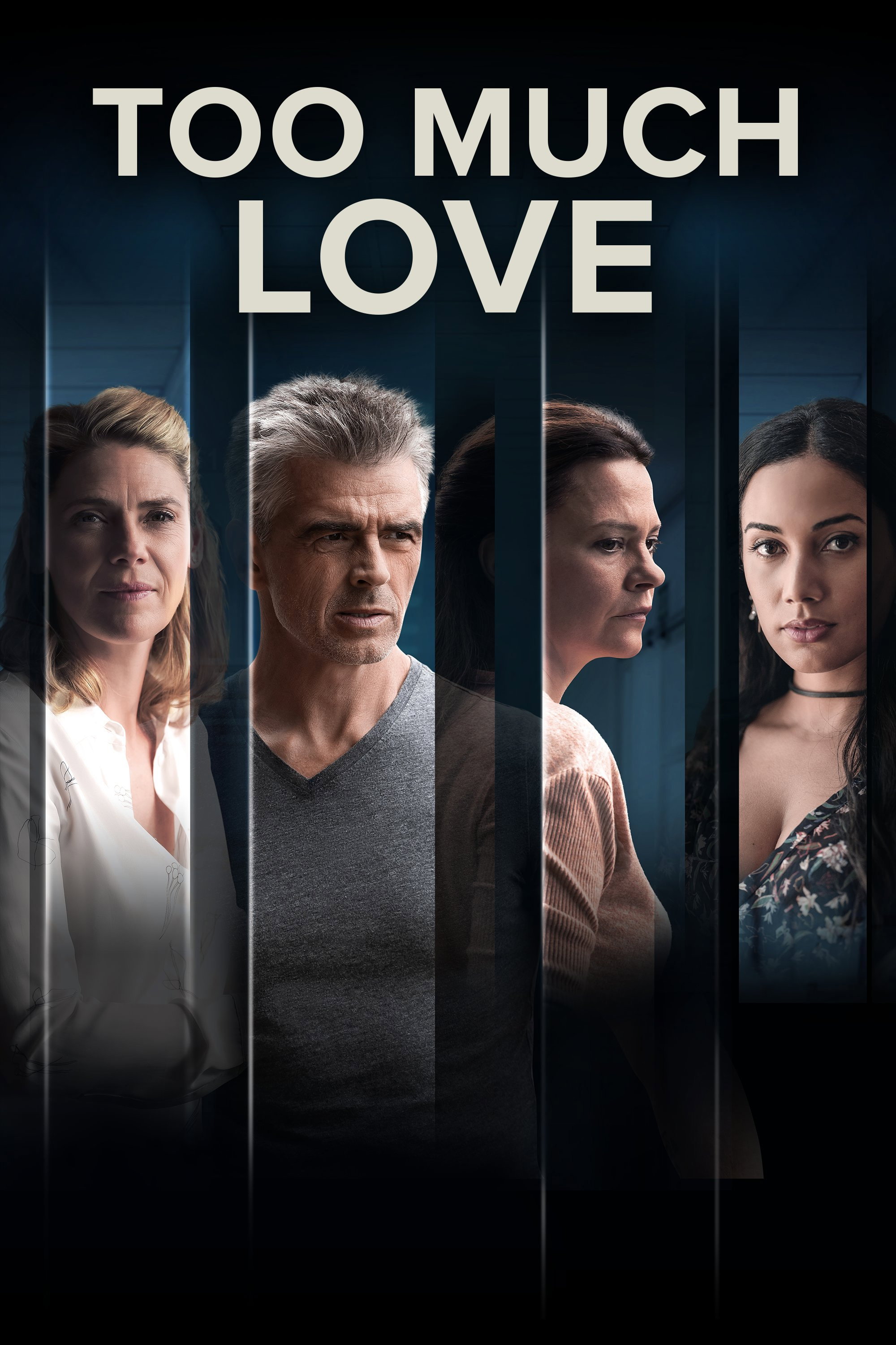 Too Much Love (2022) poster