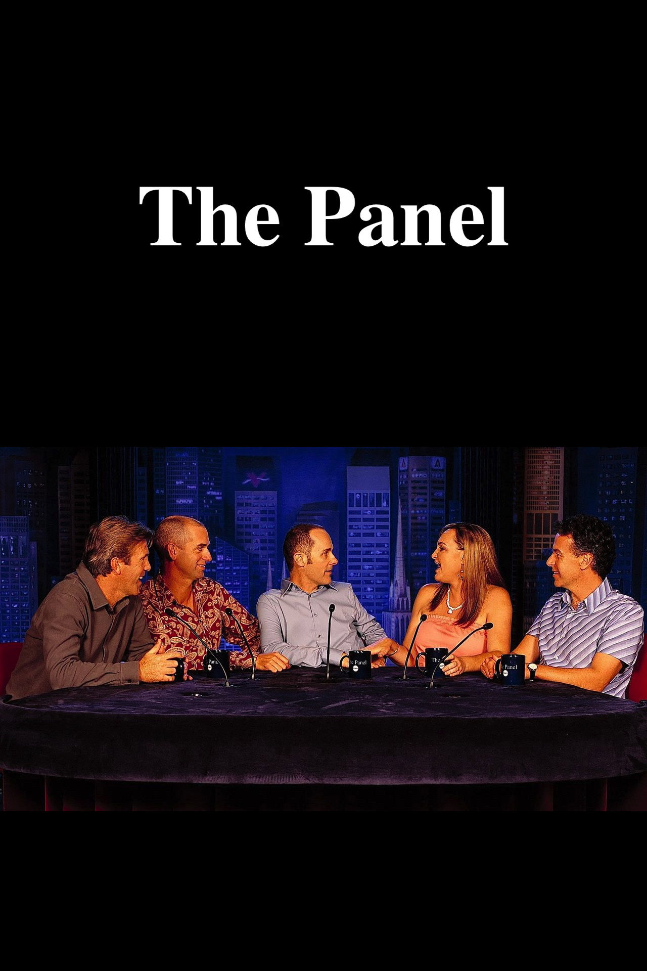 The Panel (1998) poster