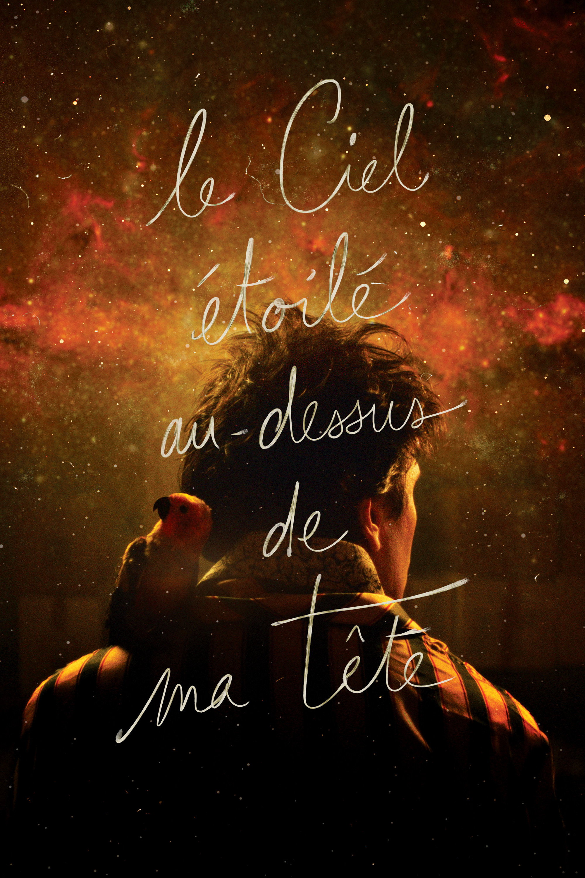 The Starry Sky Above Me (2018) poster