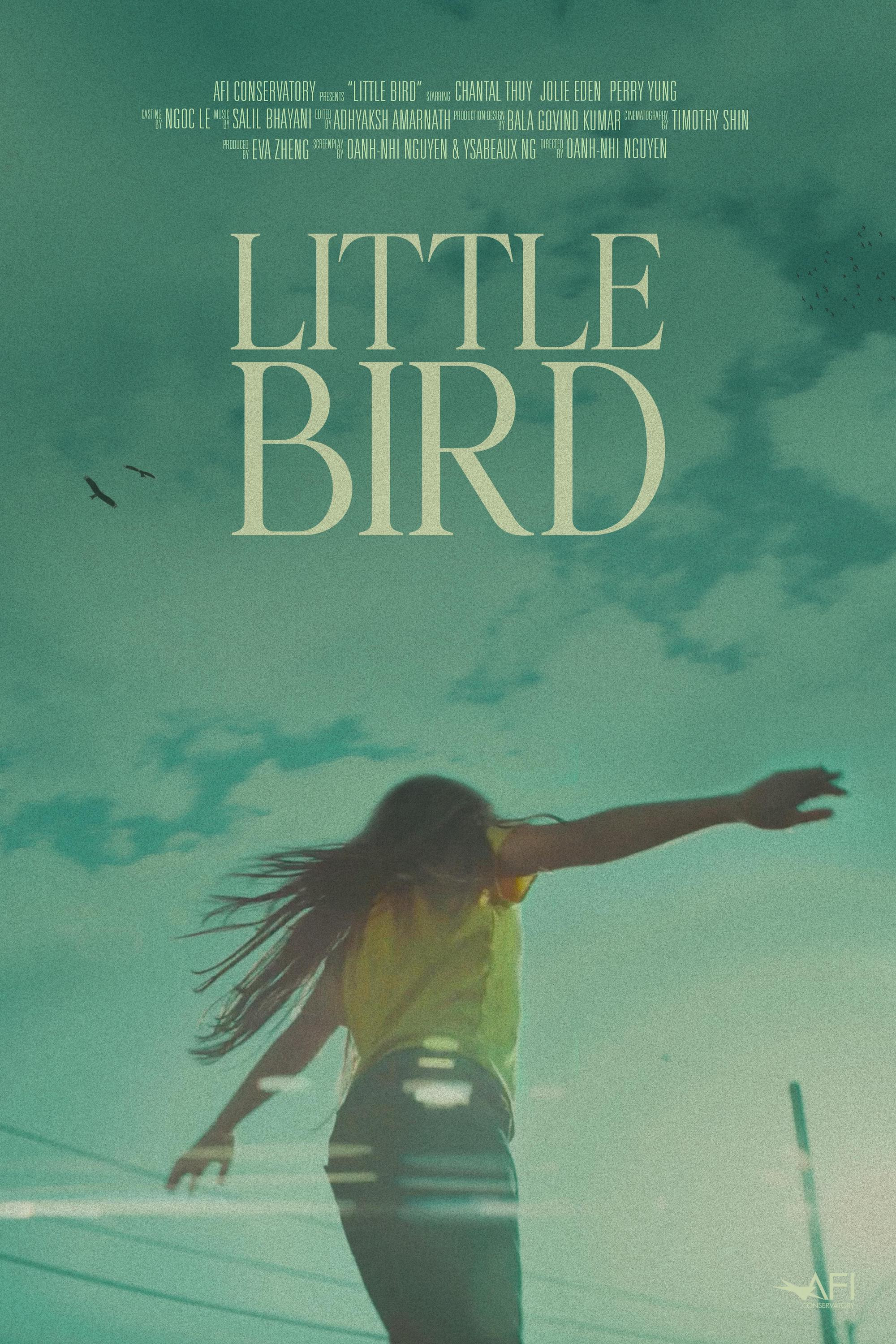 Little Bird (2024) poster
