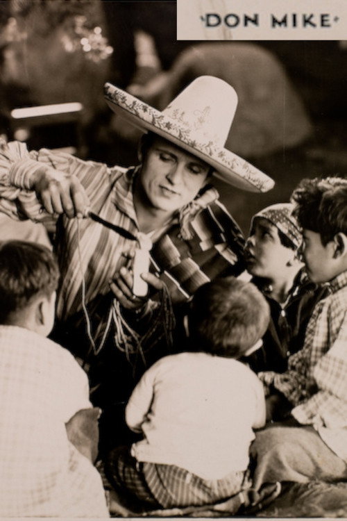 Don Mike (1927) poster