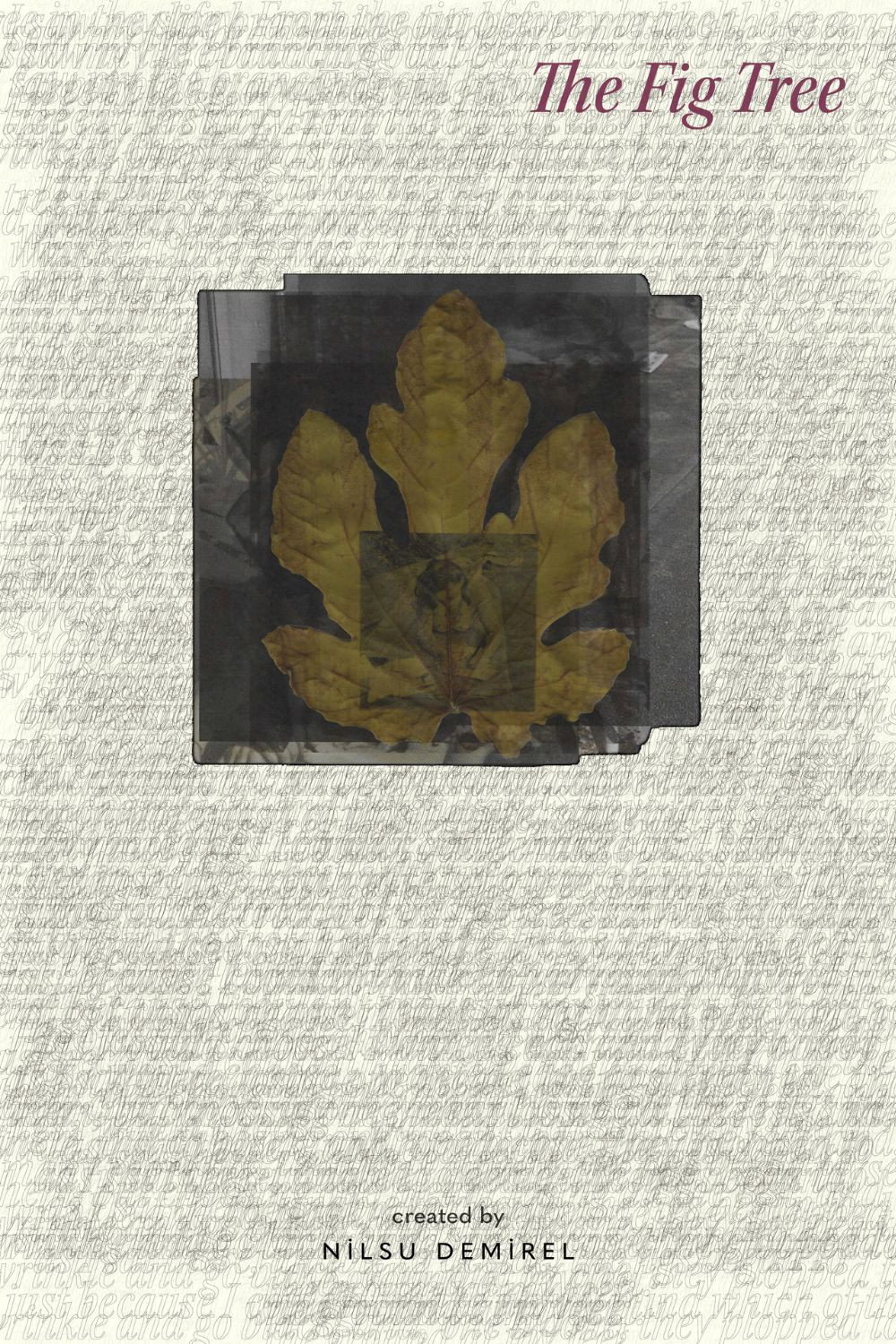 The Fig Tree (2025) poster