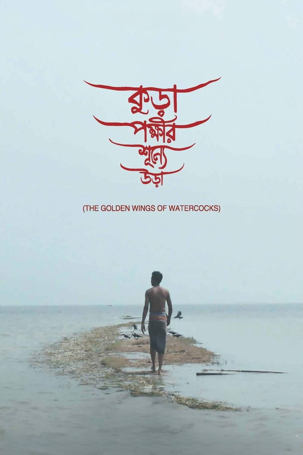 The Golden Wings of Watercocks (2022) poster