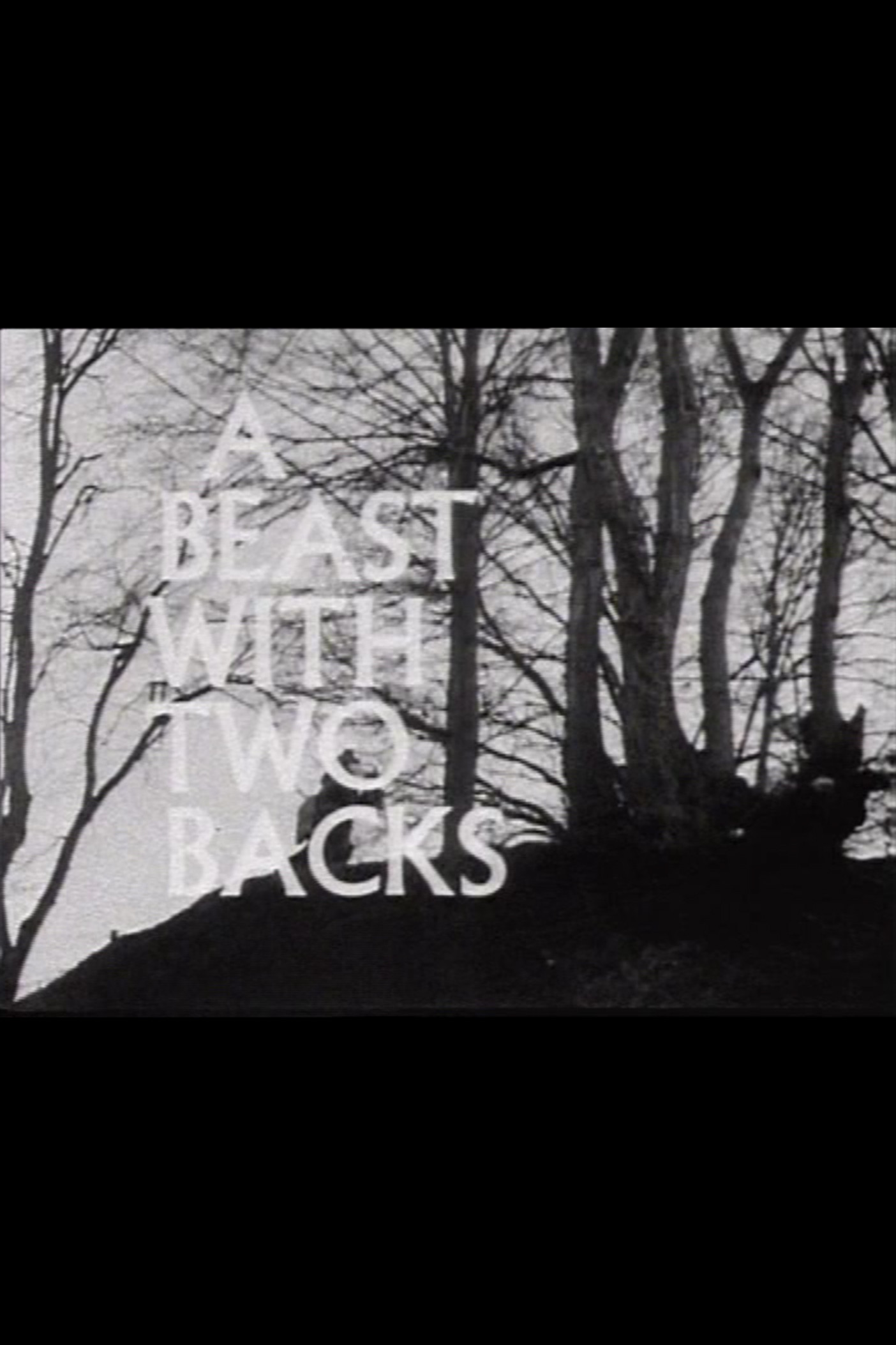 A Beast with Two Backs (1968) poster