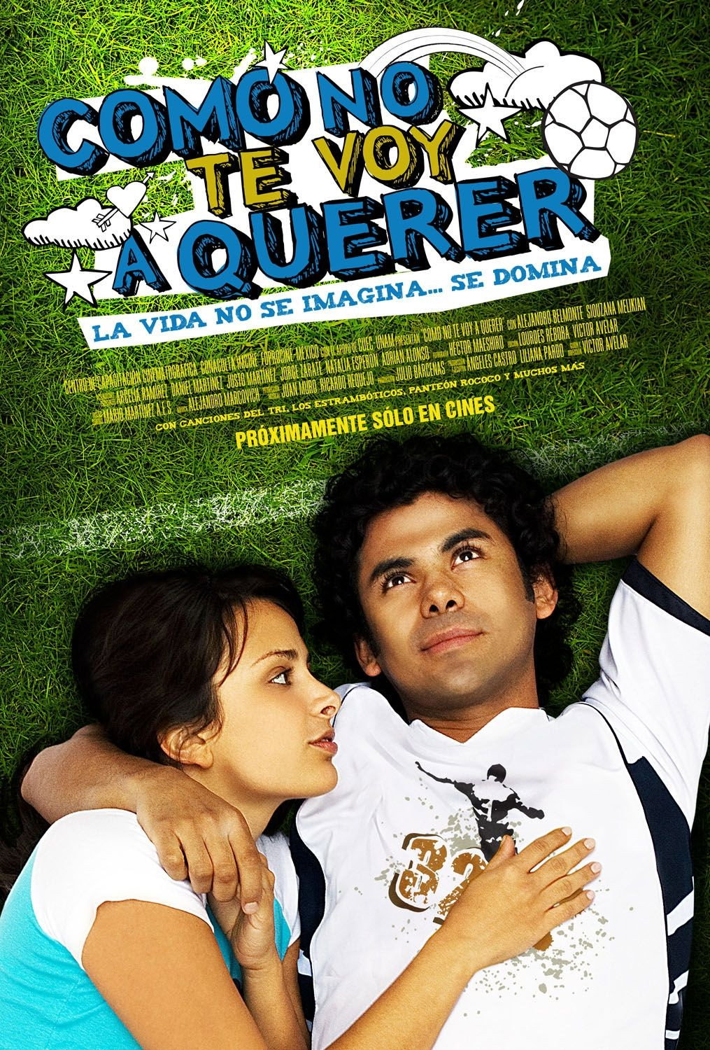 How Could I Not Love You? (2008) poster