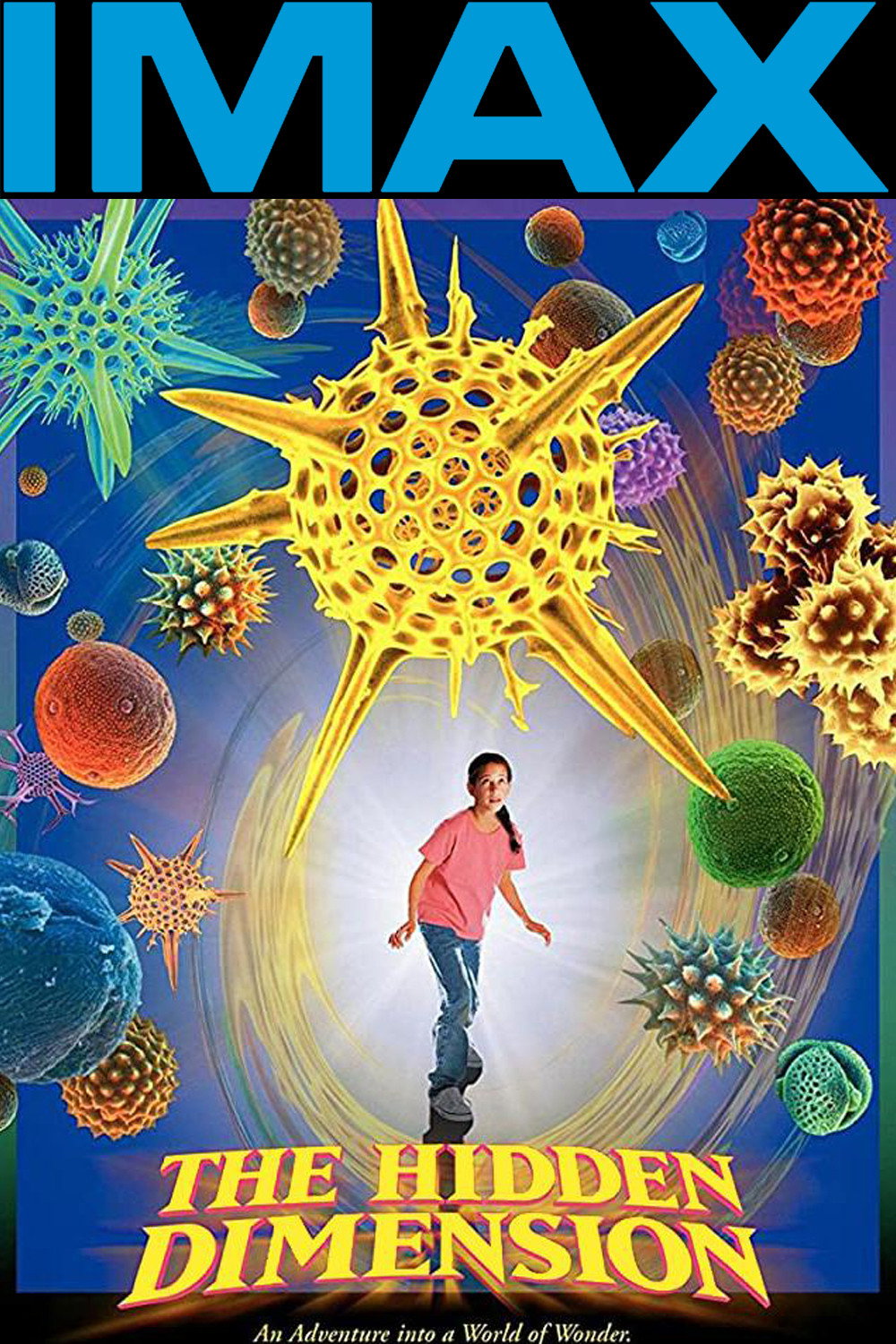 The Hidden Dimension (1998) poster