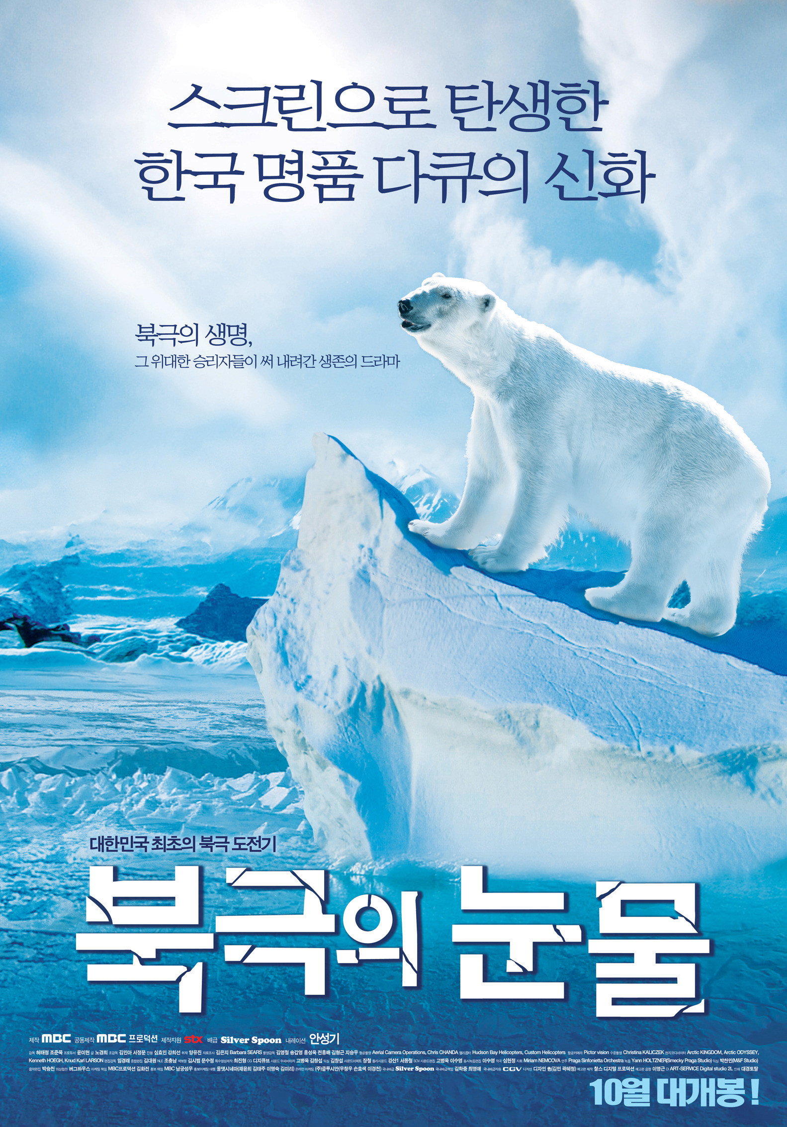 북극의 눈물 (2008) poster