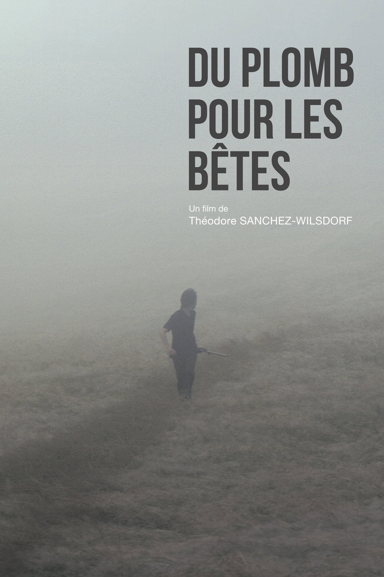 Du plomb pour les bêtes (2017) poster