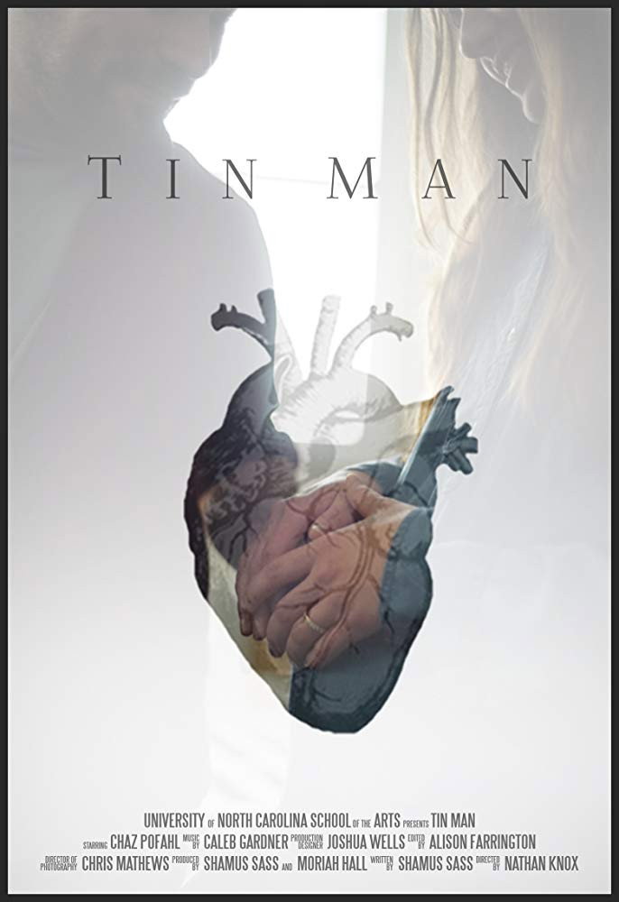 Tin Man (2017) poster