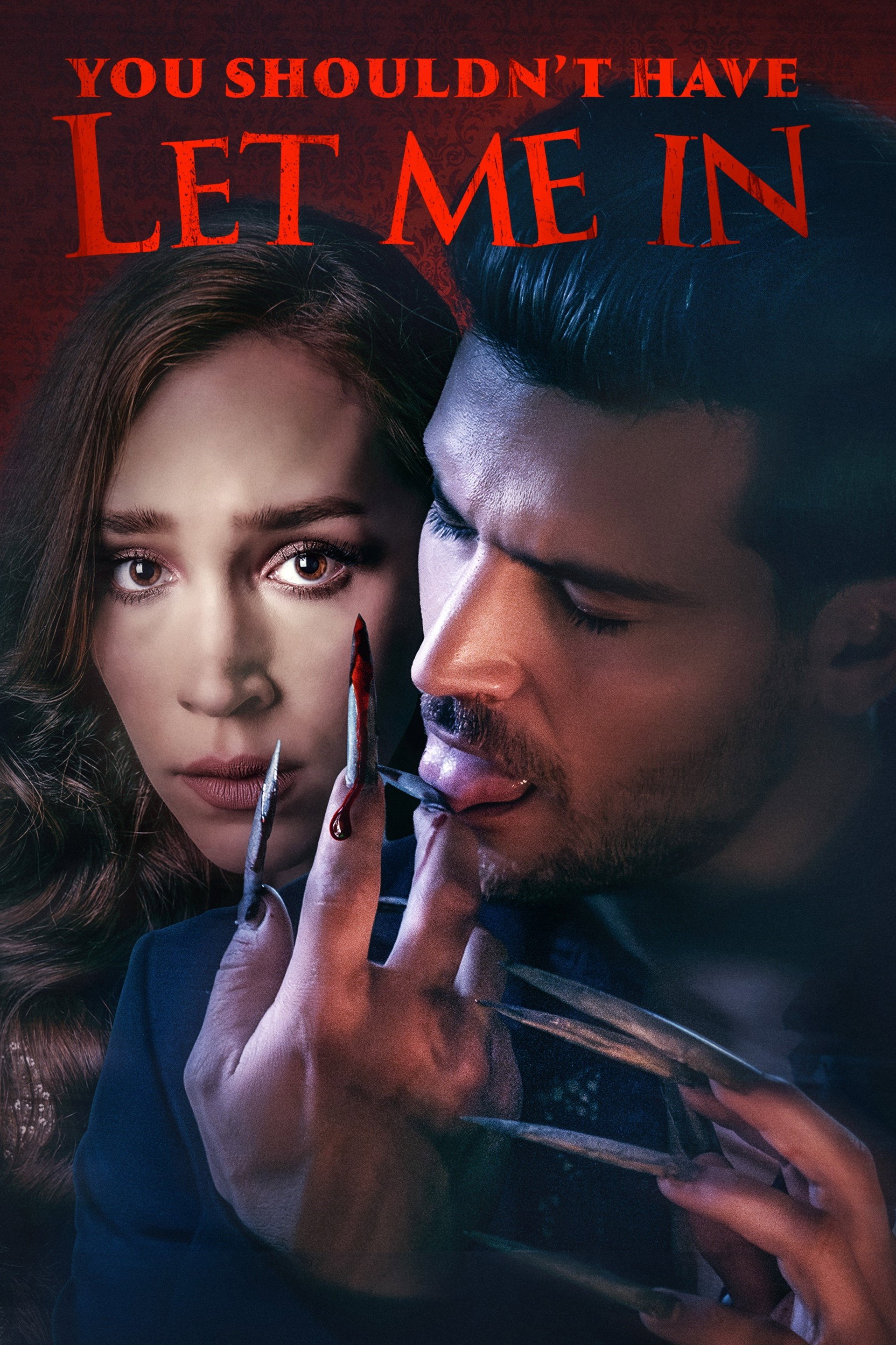 You Shouldn't Have Let Me In (2024) poster