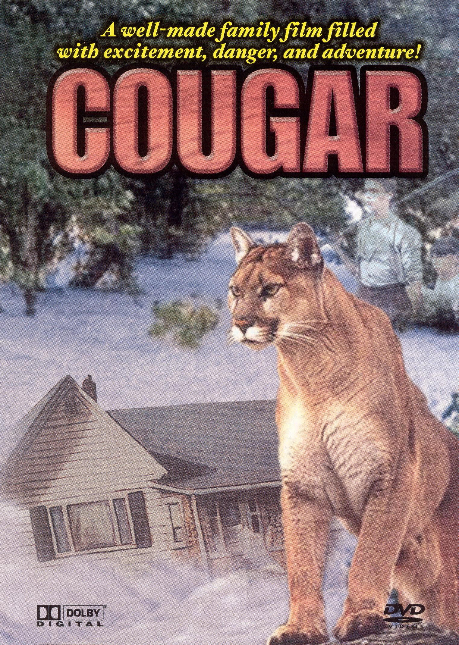Cougar (1984) poster
