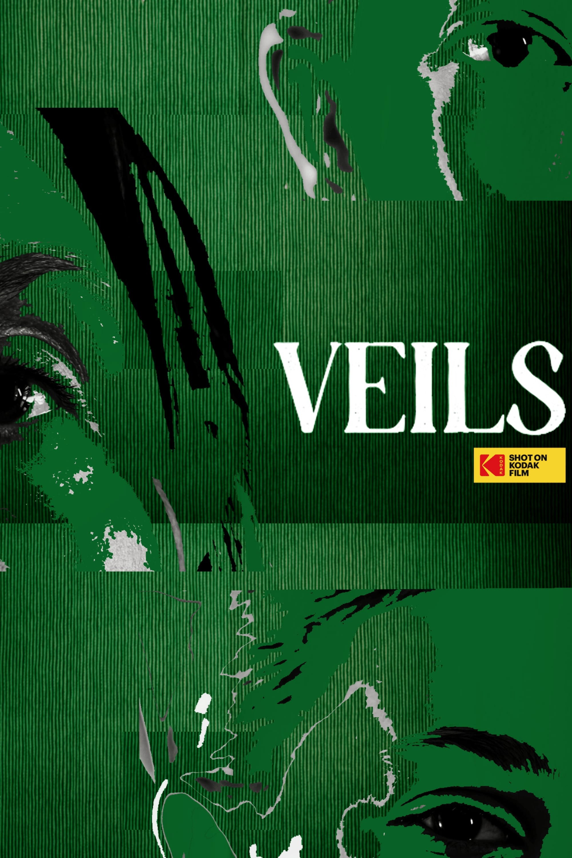 VEILS (2025) poster