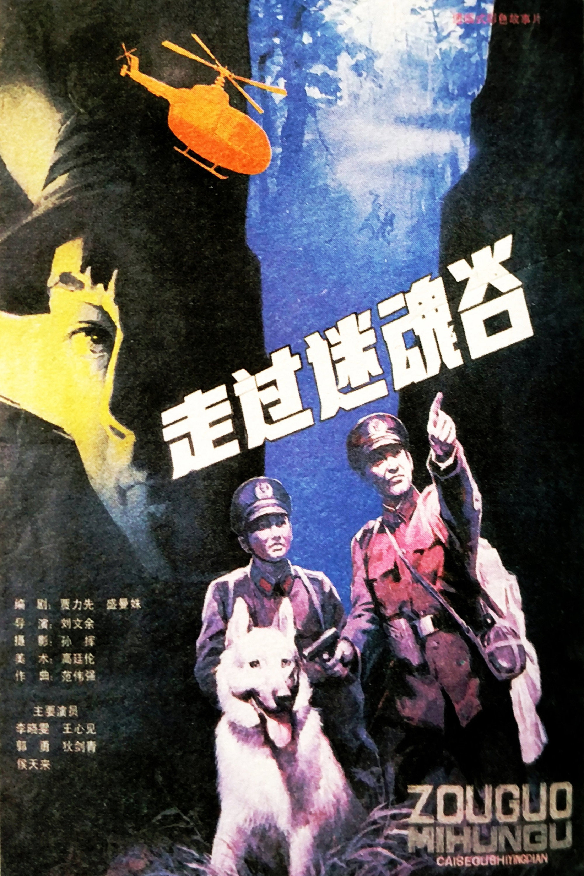 Go Through A Magic Valley (1987) poster