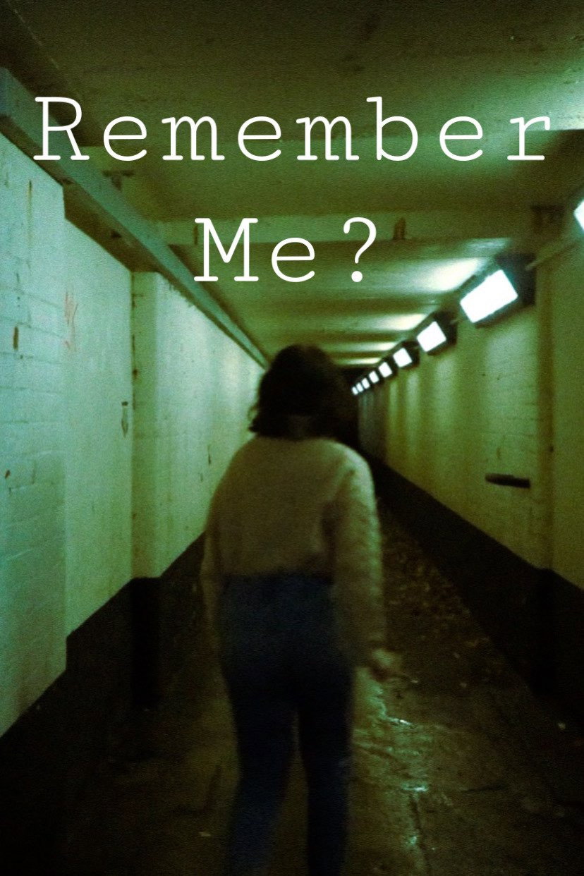 Remember Me? (2022) poster