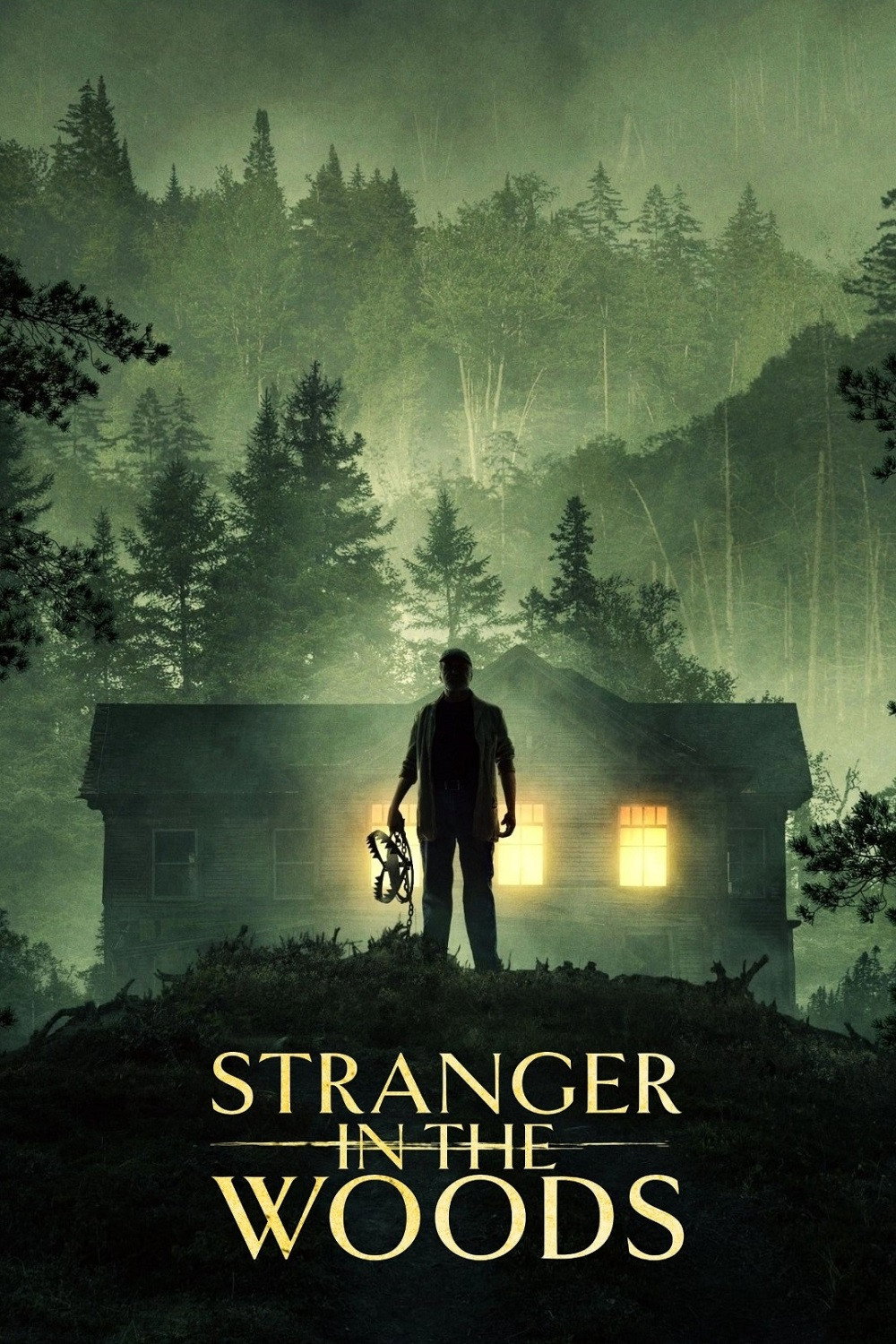 Stranger in the Woods (2024) poster