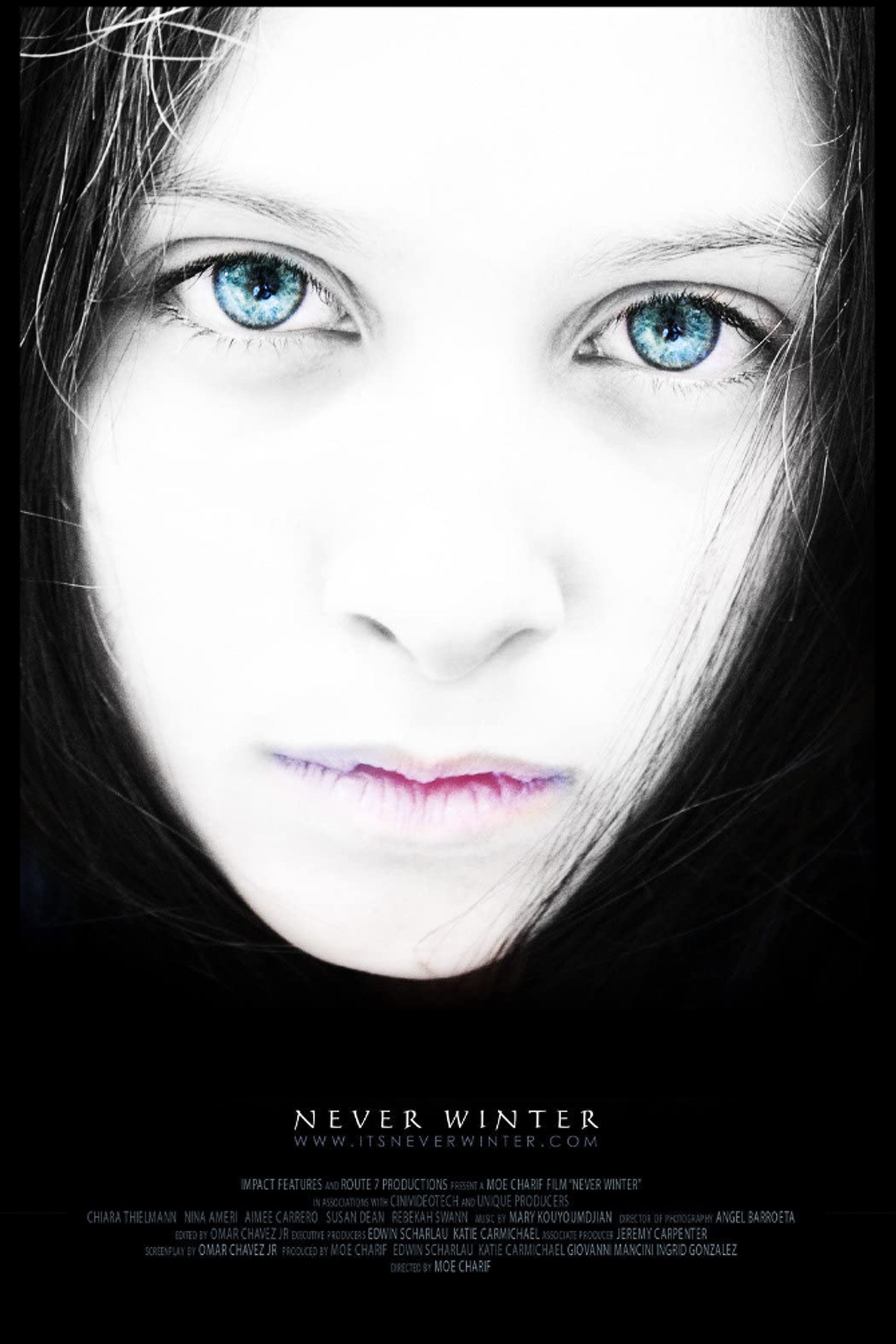 Never Winter (2010) poster