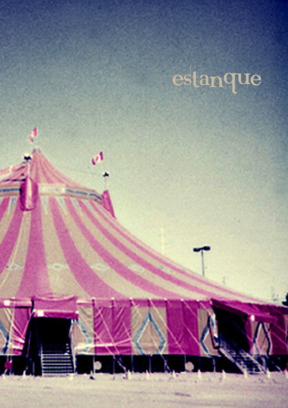 Estanque (2011) poster