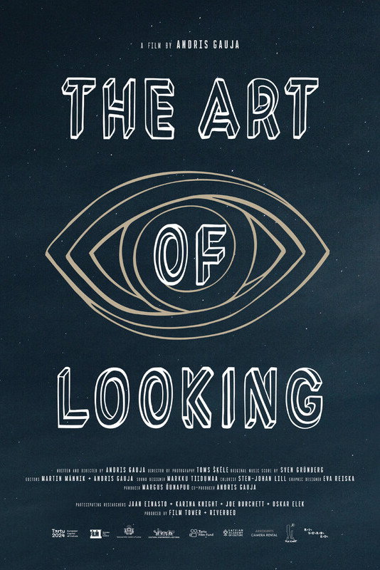 The Art of Looking (2024) poster