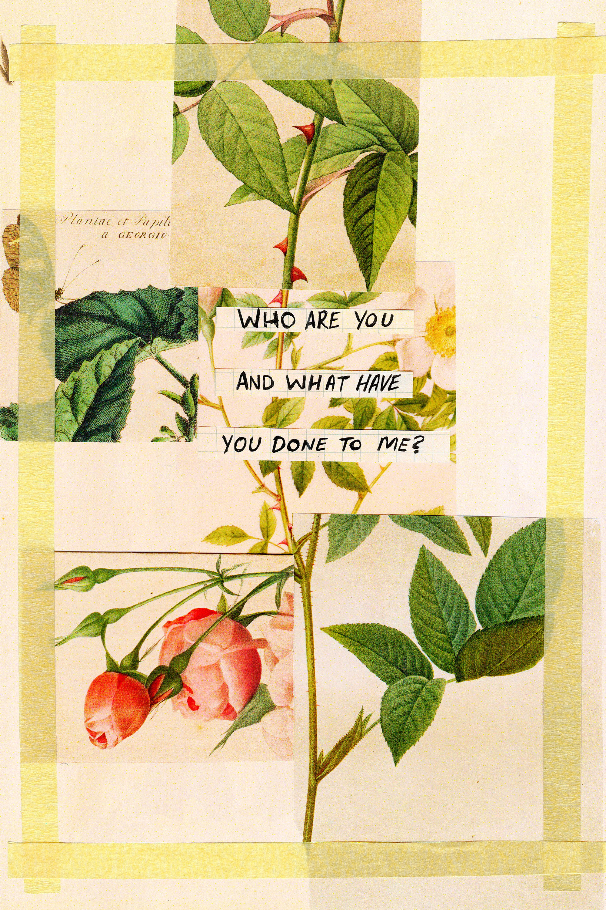 Who Are You and What Have You Done To Me? (2025) poster