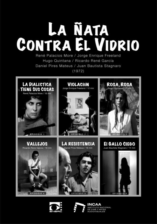 La ñata contra el vidrio (1972) poster