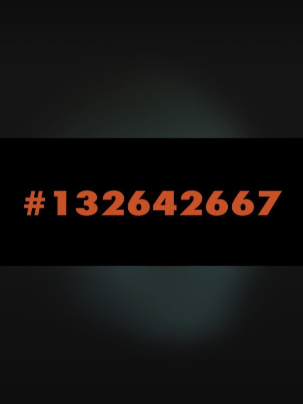 #132642667 (2020) poster