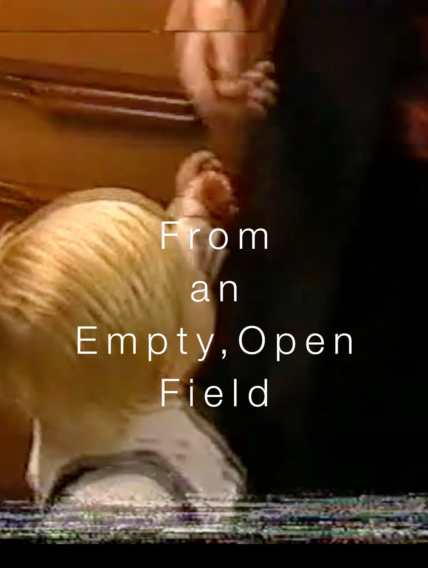 From an Empty, Open Field (2026) poster