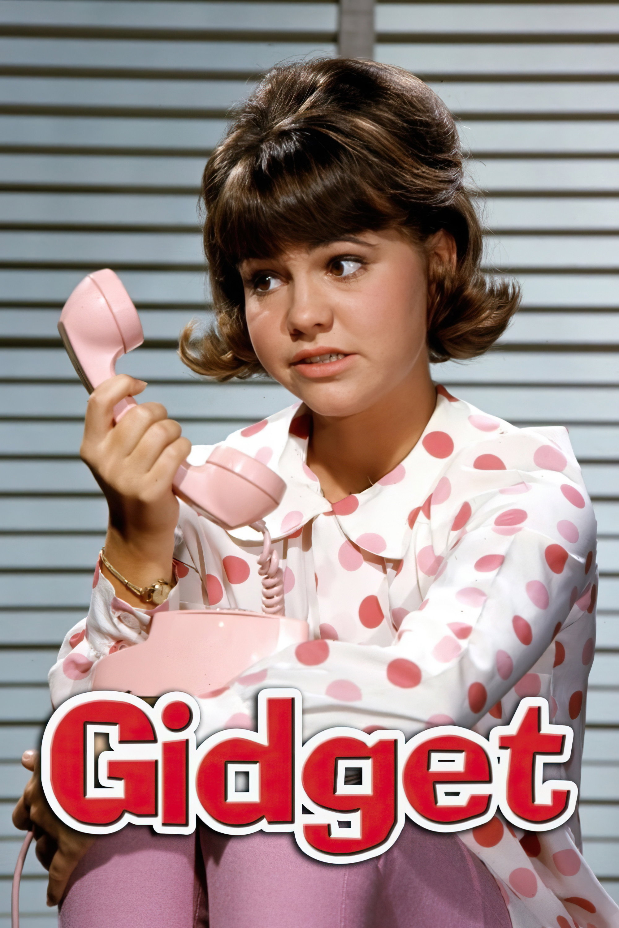 Gidget (1965) poster