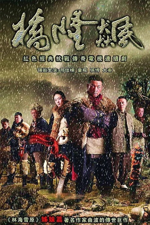 桥隆飙 (2010) poster