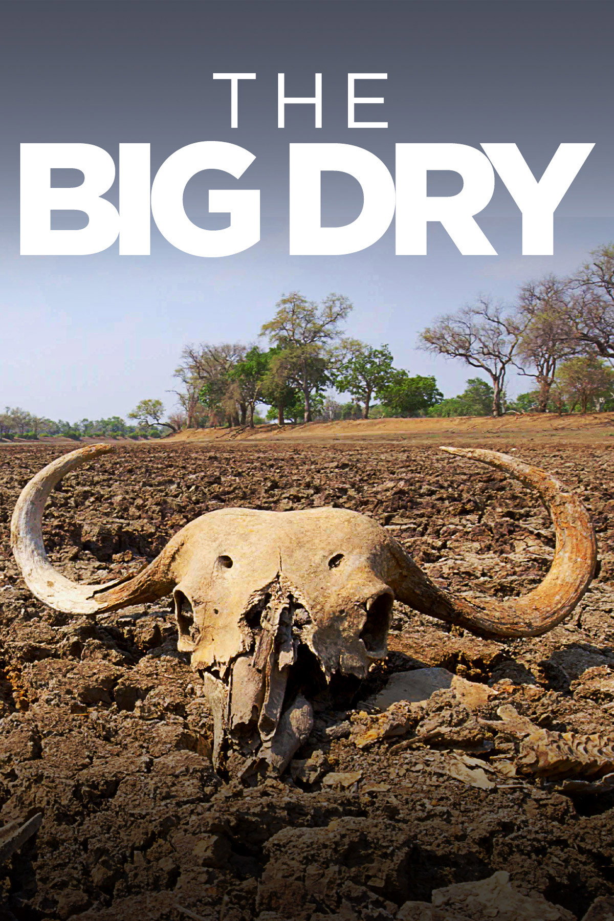 The Big Dry (2016) poster