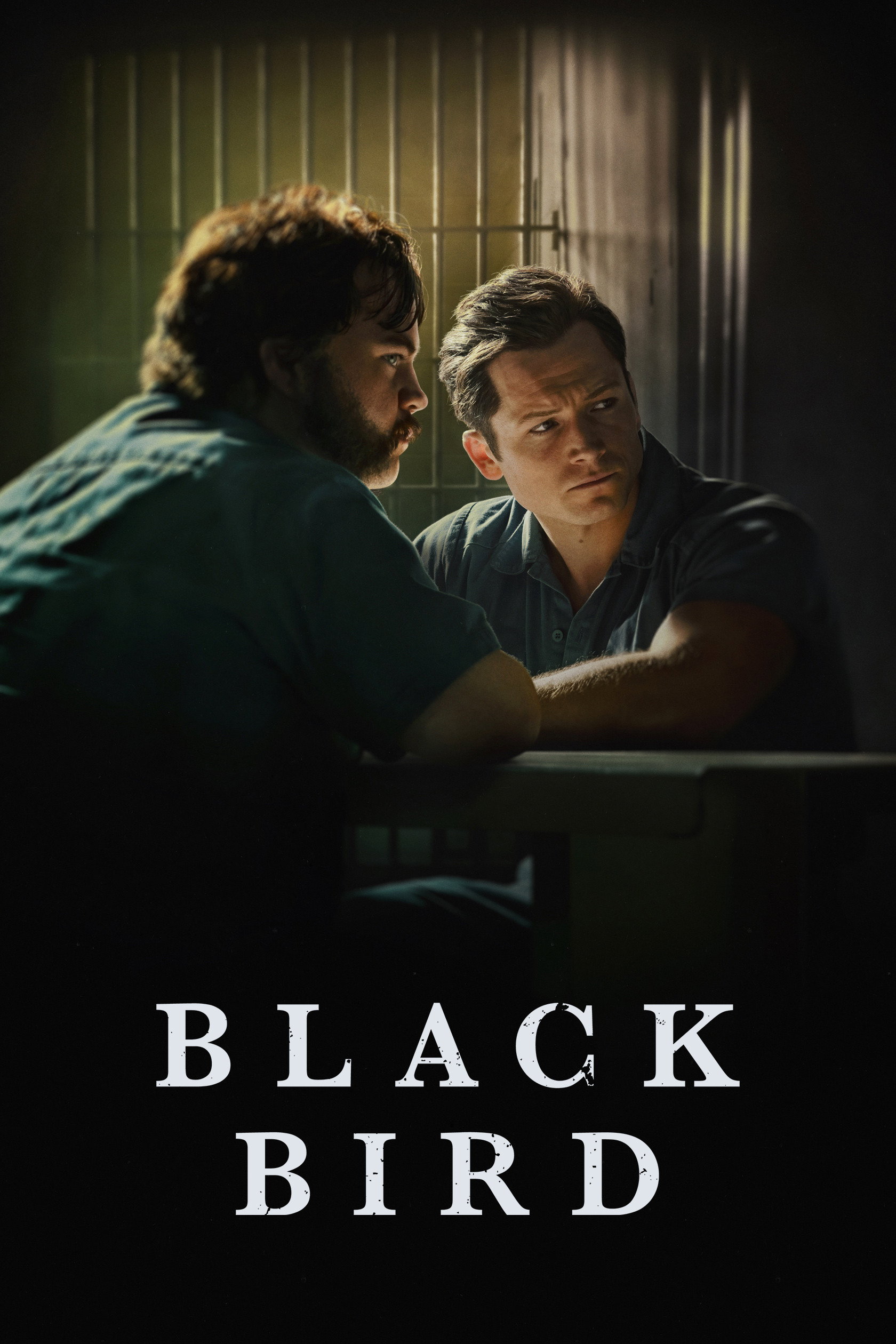 Black Bird (2022) poster