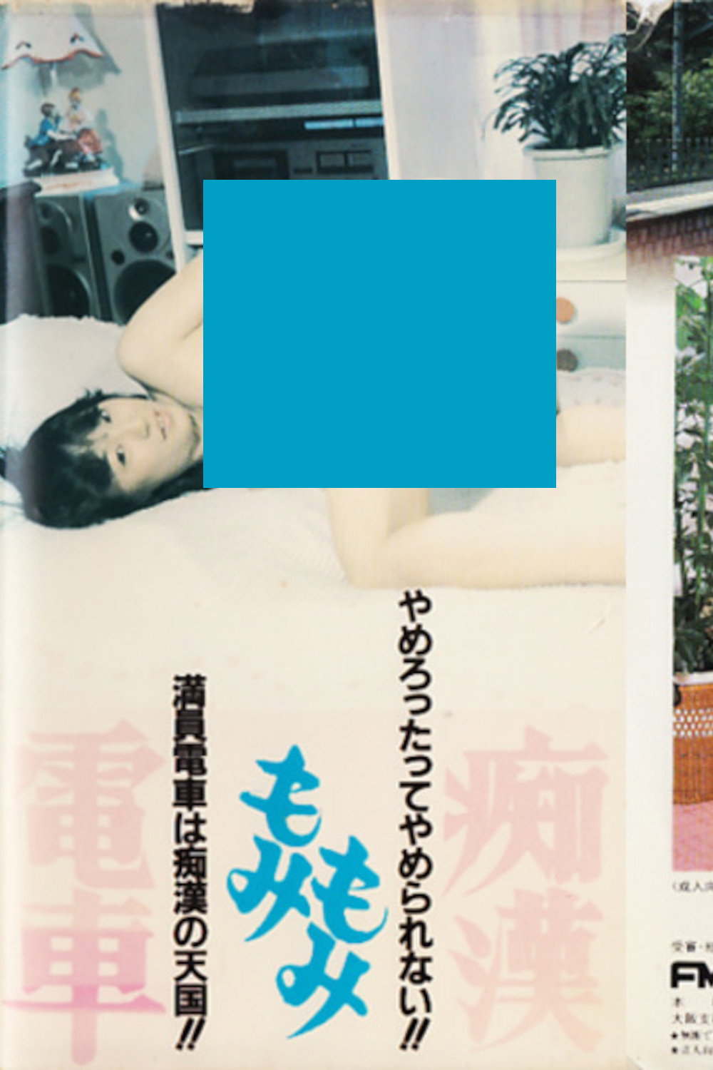 Molester Groping Train (1984) poster