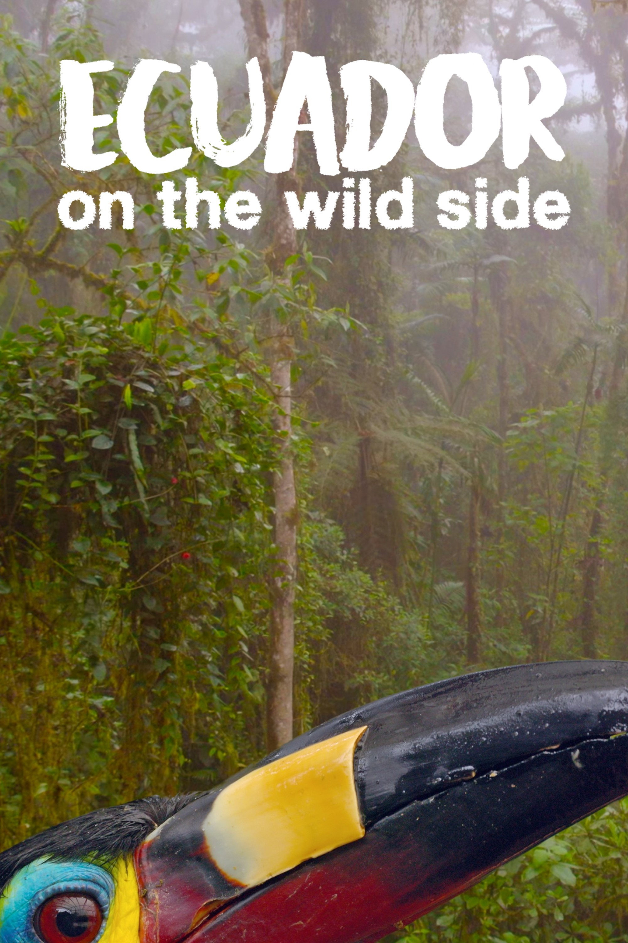 Ecuador: On the Wild Side (2024) poster