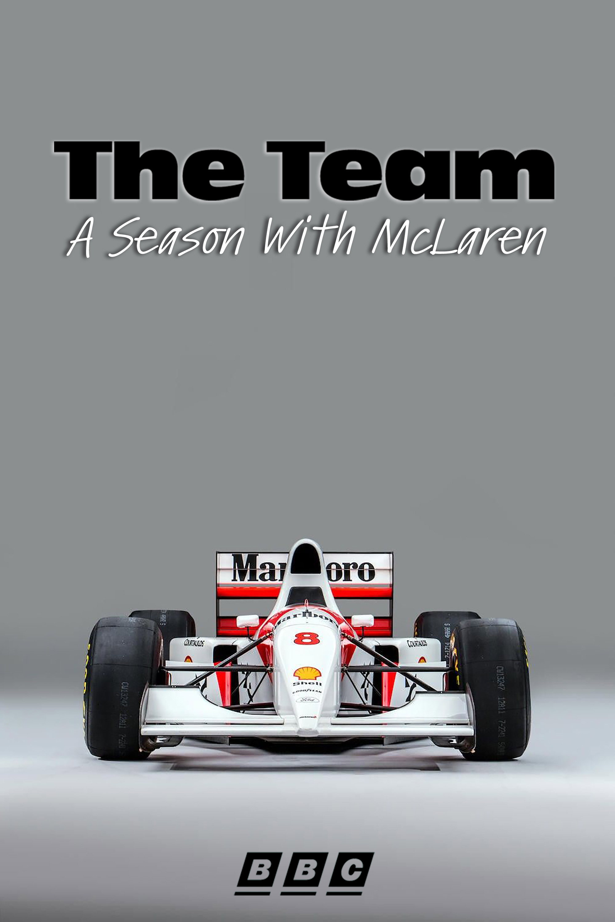 The Team: A Season With McLaren (1993) poster