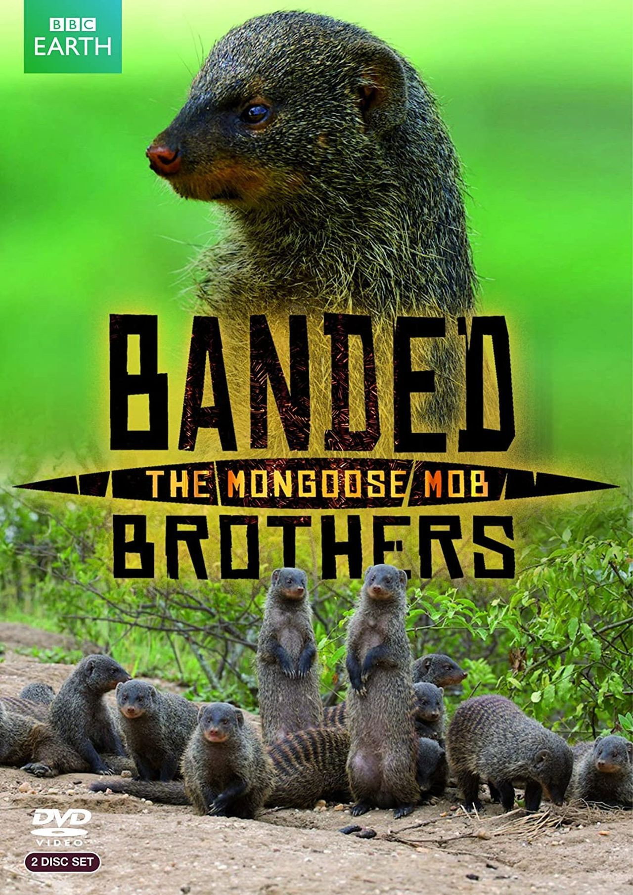Banded Brothers: The Mongoose Mob (2010) poster
