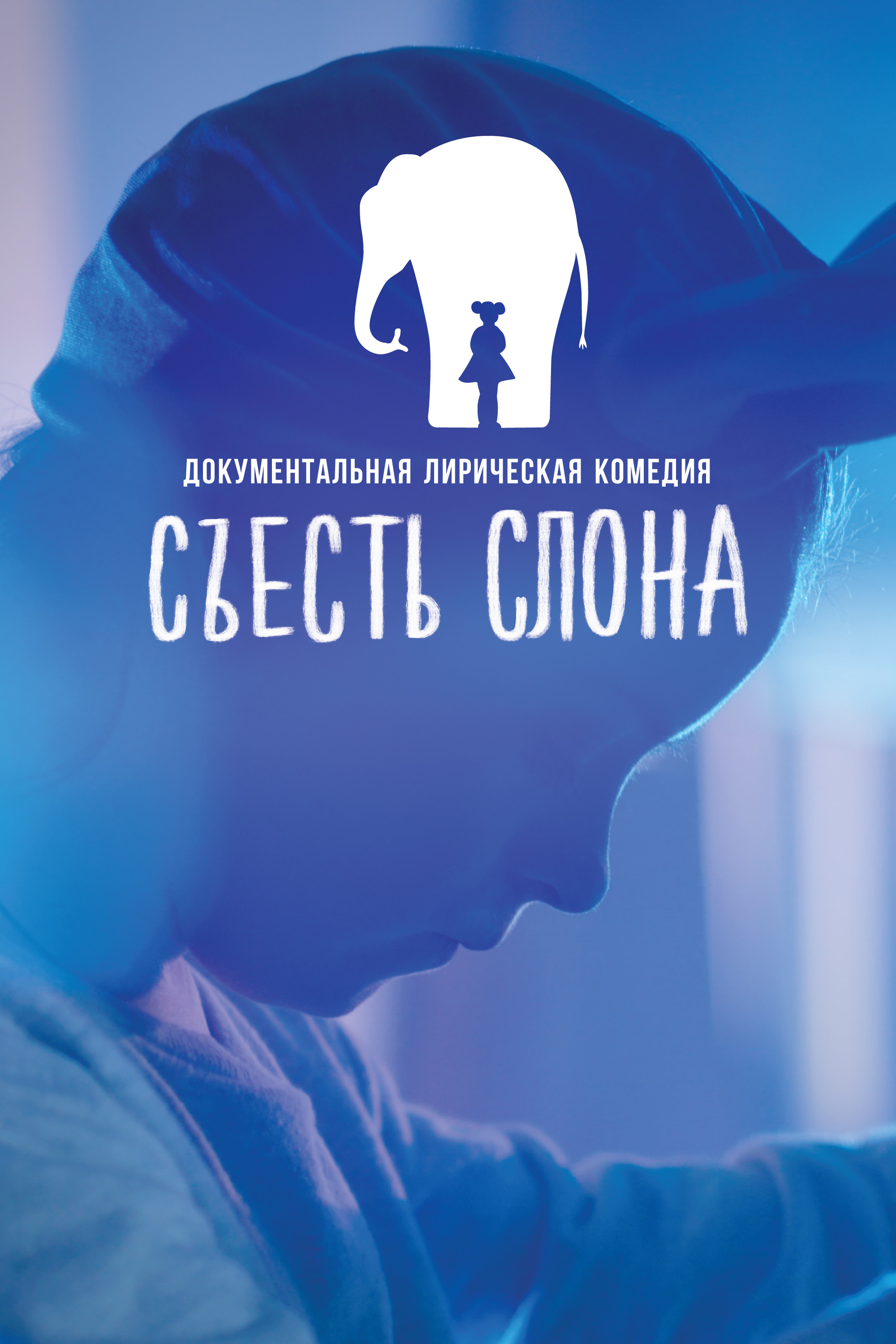 Eating An Elephant (2020) poster