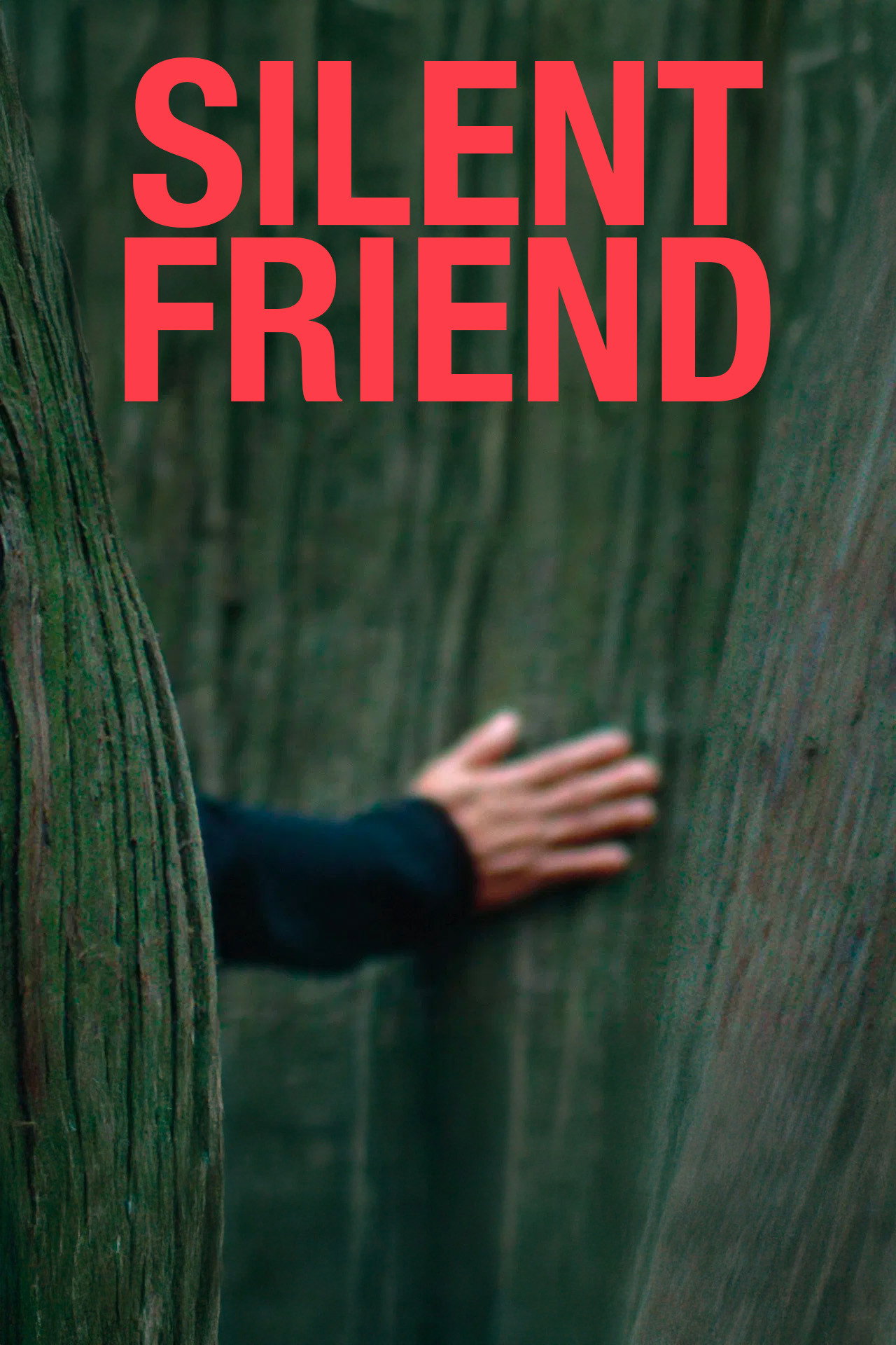 Silent Friend (2026) poster