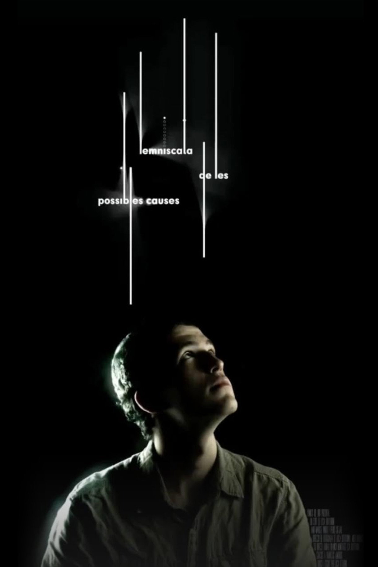 Lemniscata de les possibles causes (2026) poster