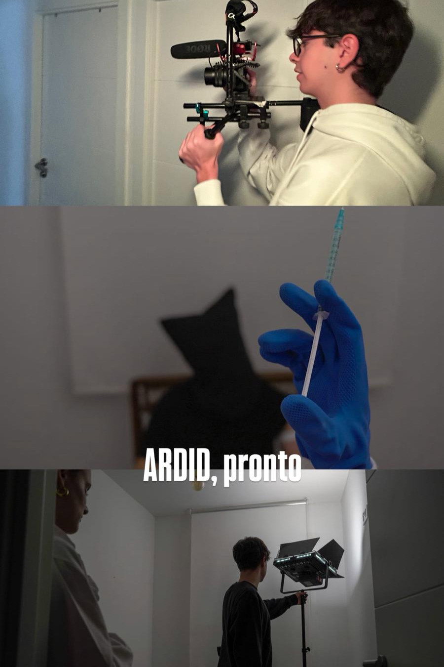 ARDID (2025) poster