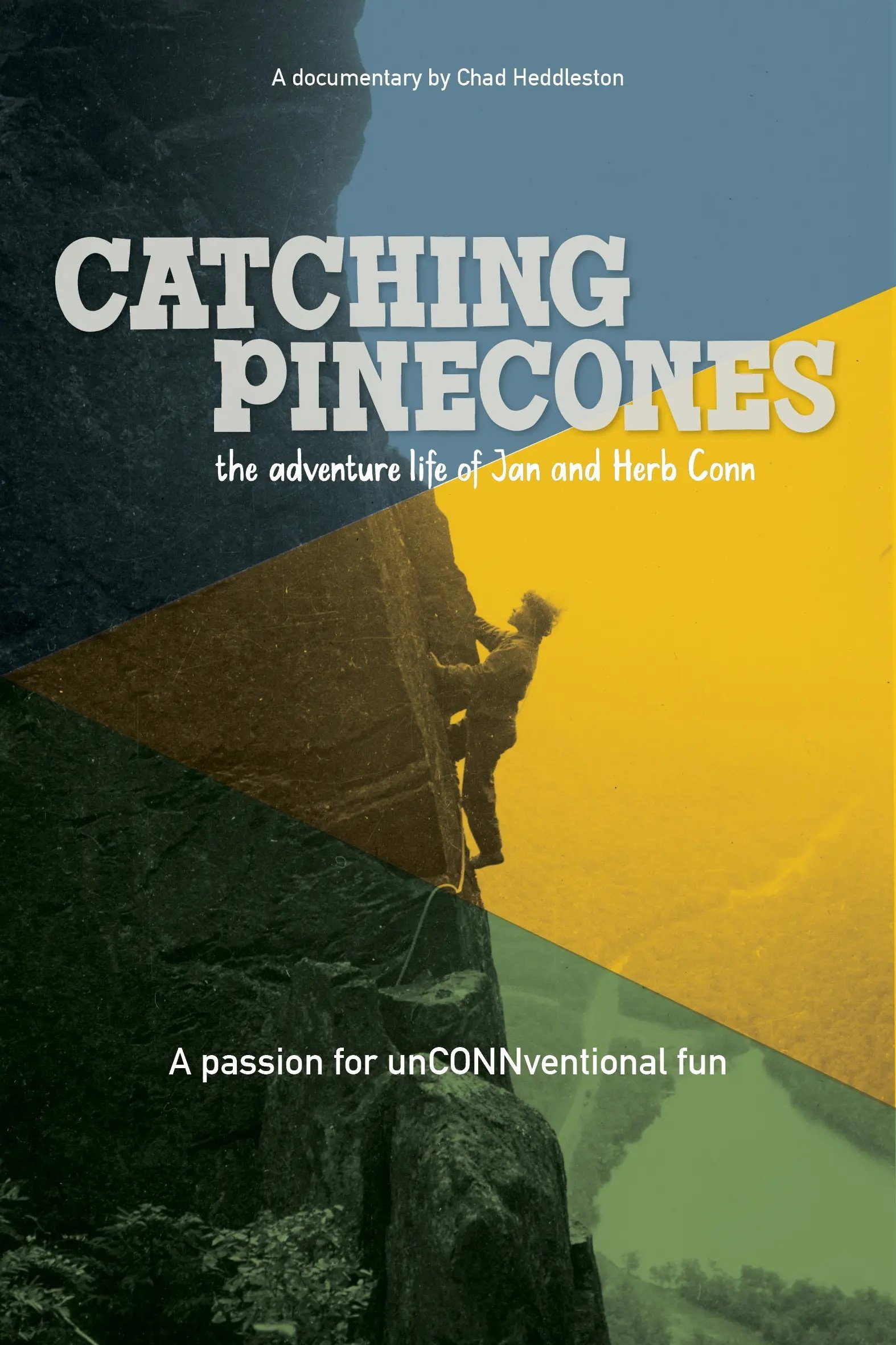 Catching Pinecones (2025) poster