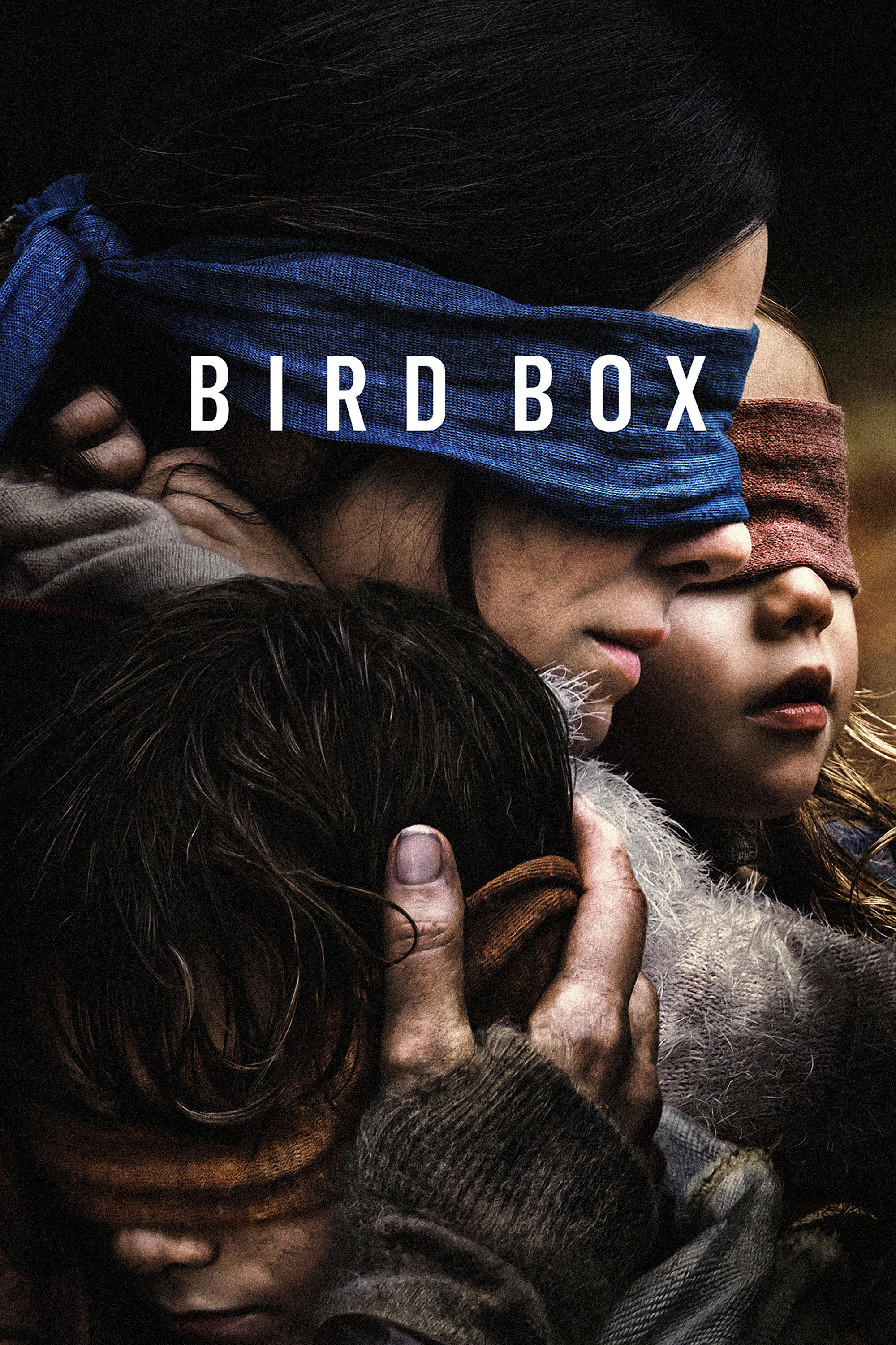 Bird Box (2018) poster