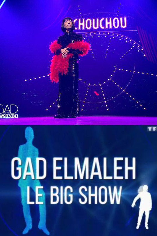 Gad Elmaleh - Le Big Show (2015) poster