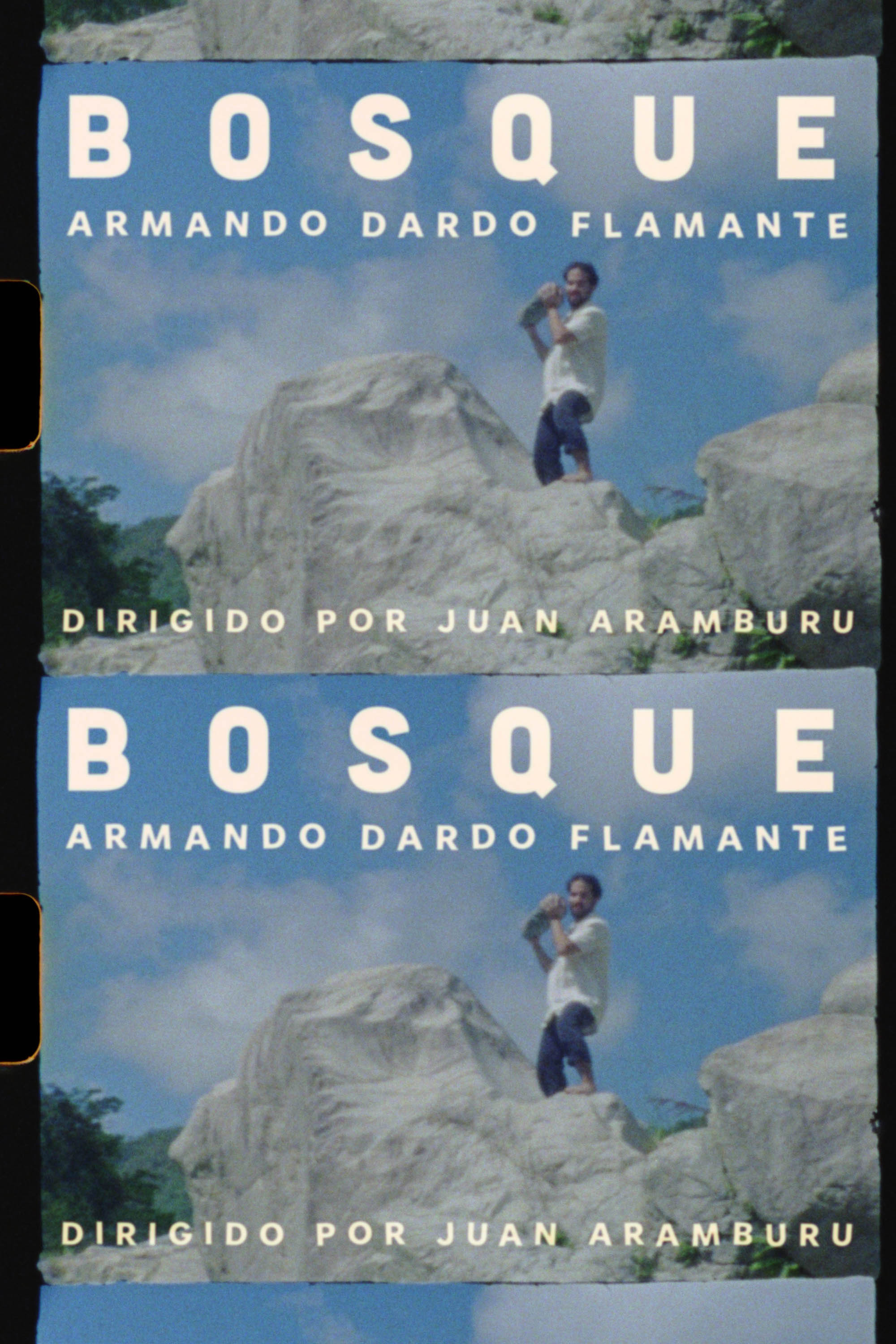 BOSQUE (2023) poster
