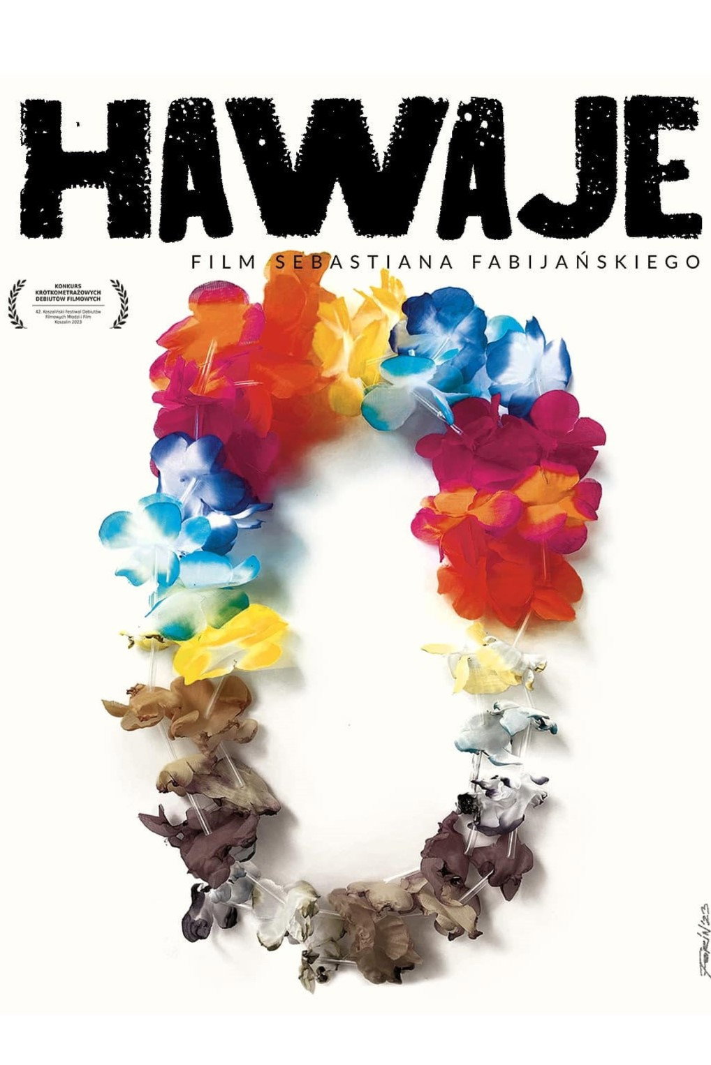 Hawaii (2023) poster