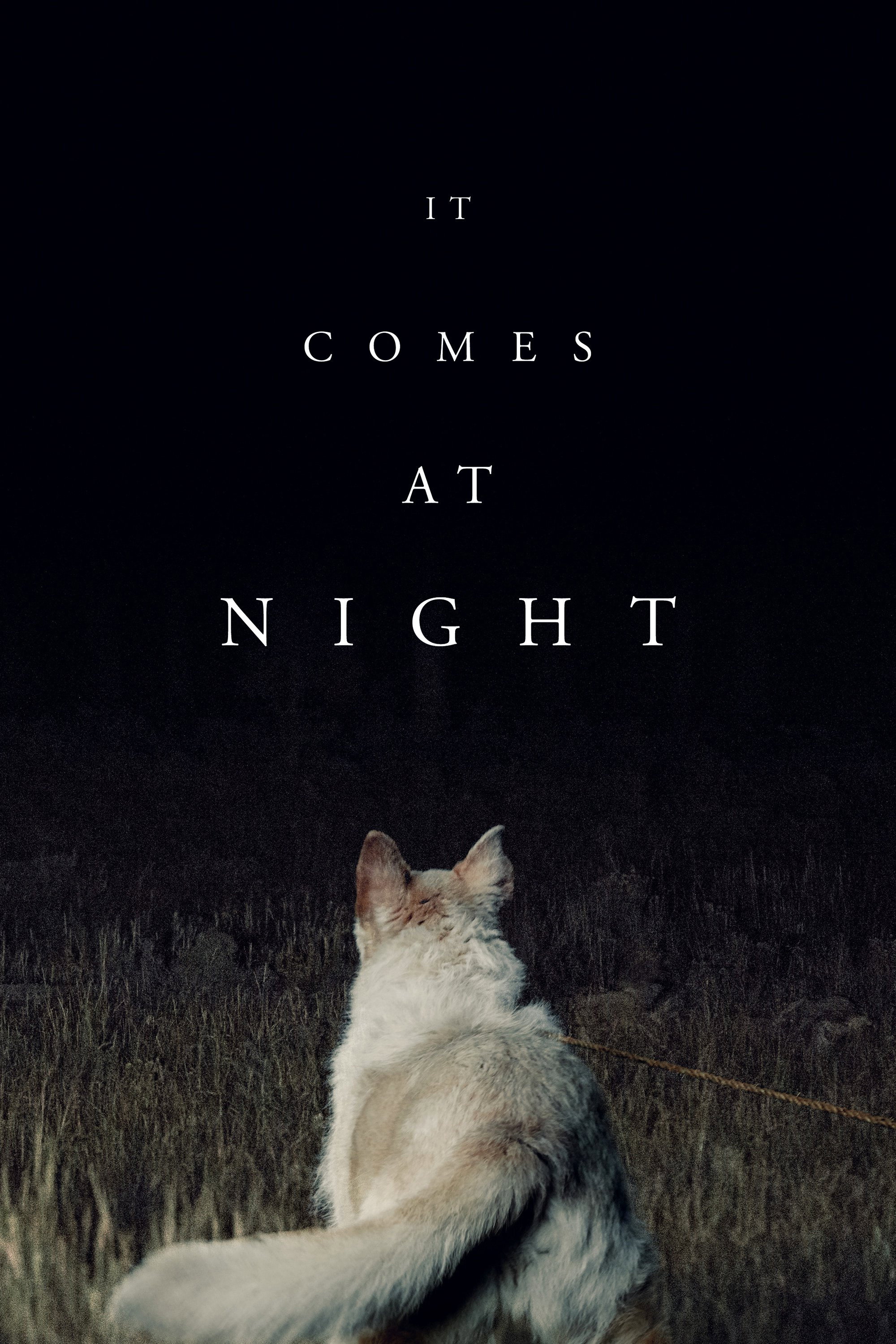 It Comes at Night (2017) poster