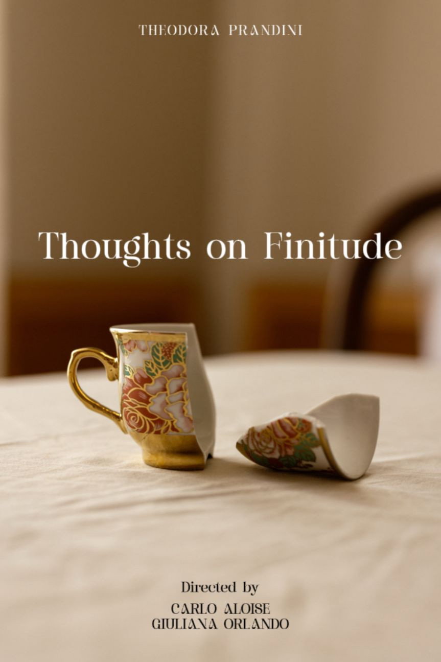 Thoughts on Finitude (2026) poster