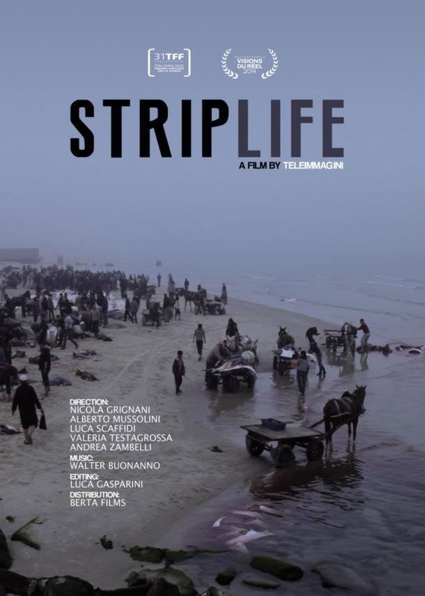 Striplife (2014) poster