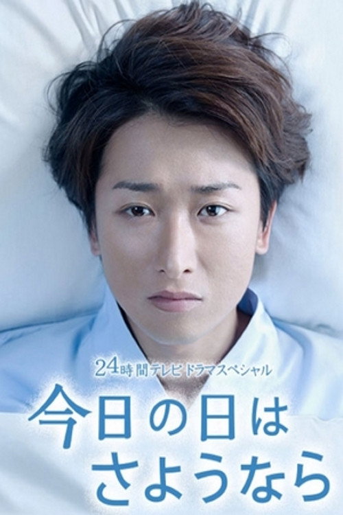 Farewell for Today (2013) poster