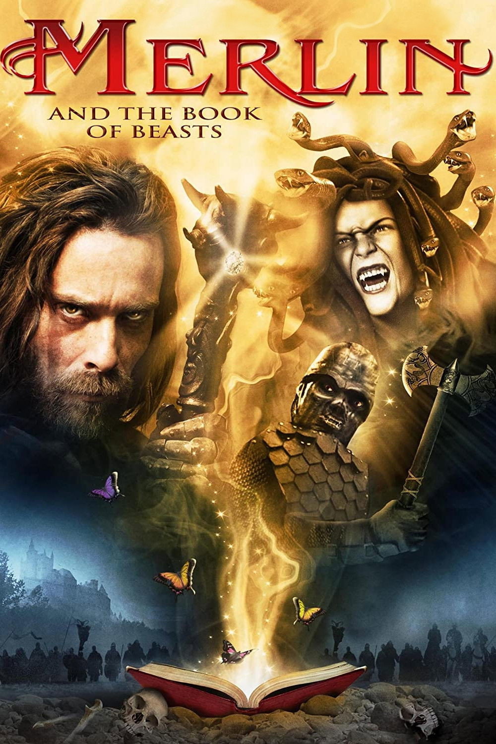 Merlin and the Book of Beasts (2009) poster